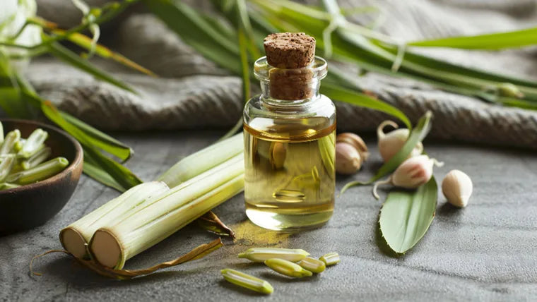 Lemon Grass Oil